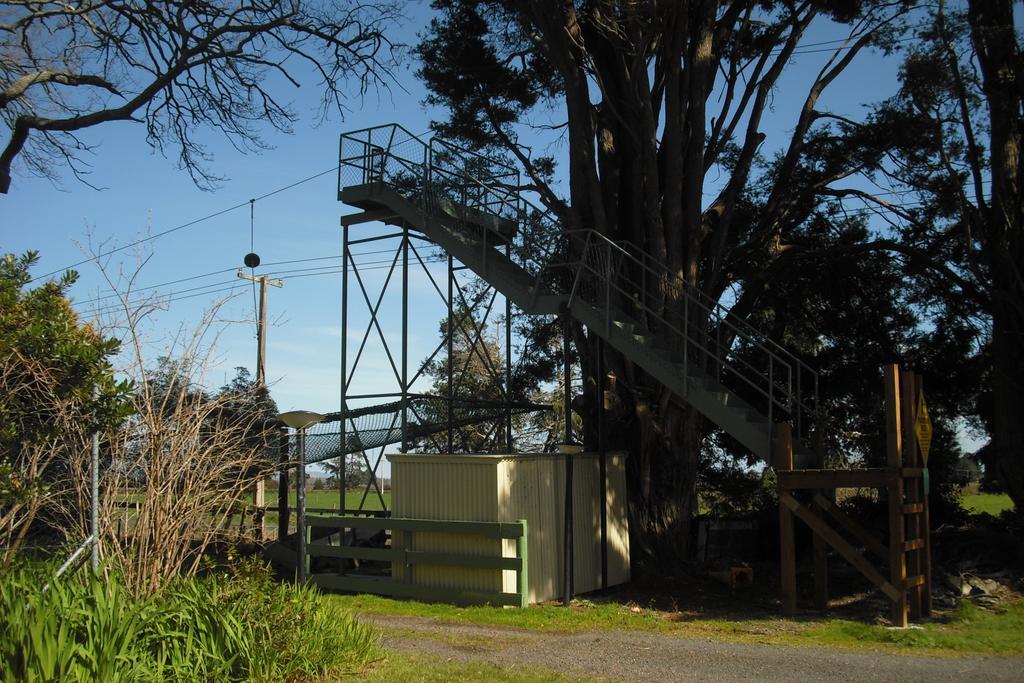 Te Aroha Holiday Park And Motels Exterior photo